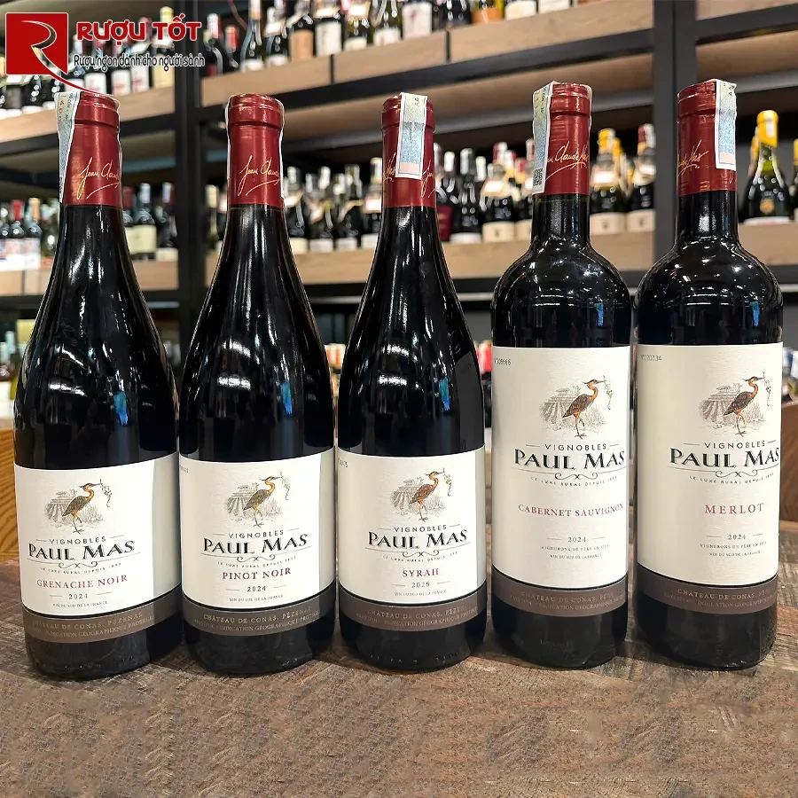 Rượu vang Paul Mas Merlot