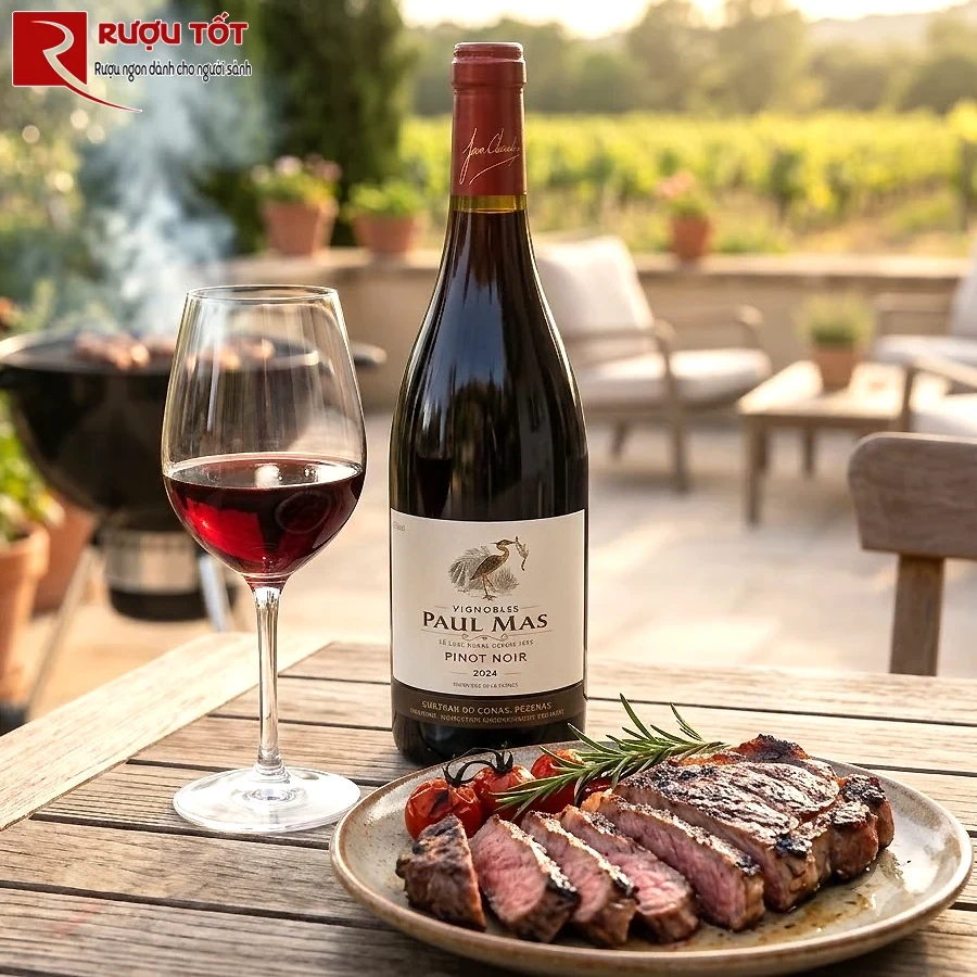 Rượu vang Paul Mas Pinot Noir