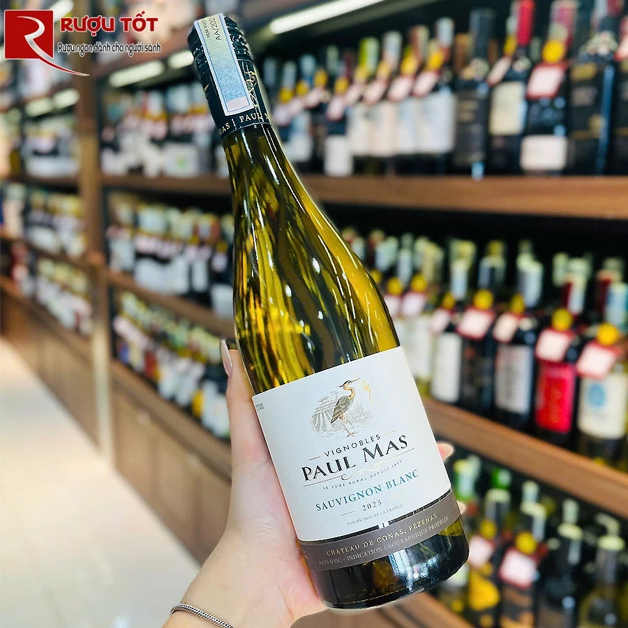 Rượu vang Paul Mas Sauvignon Blanc