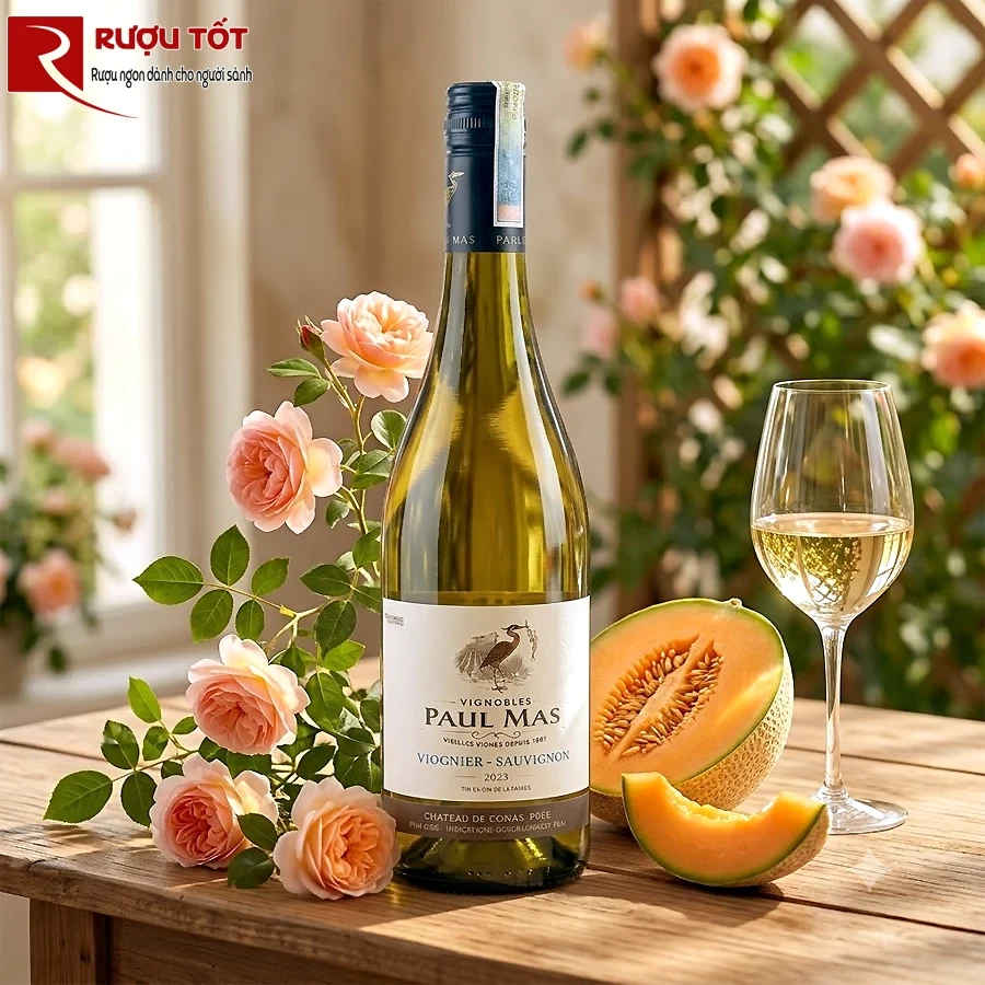 Rượu vang Paul Mas Vermentino Sauvignon