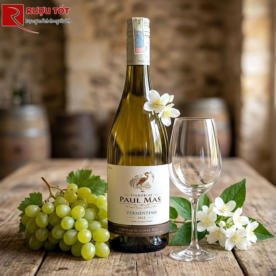 Rượu vang Paul Mas Vermentino