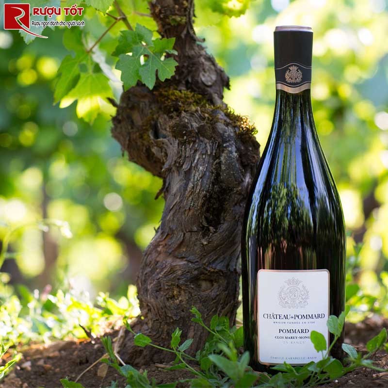 Rượu vang Pháp Chateau de Pommard Clos Marey Monge 75 Rangs