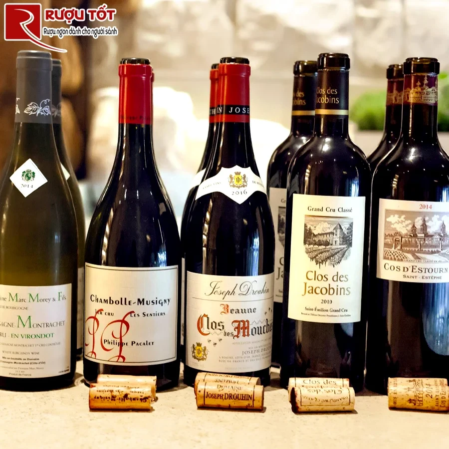 Rượu vang Philippe Pacalet Chambolle Musigny Les Sentiers