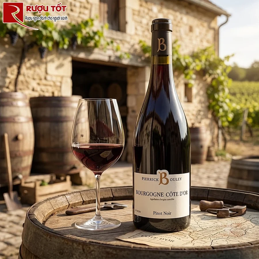 Rượu vang Pierrick Bouley Bourgogne