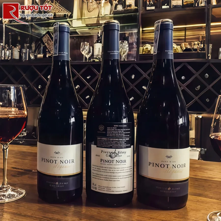 ruou vang pinot noir pays d oc elegance