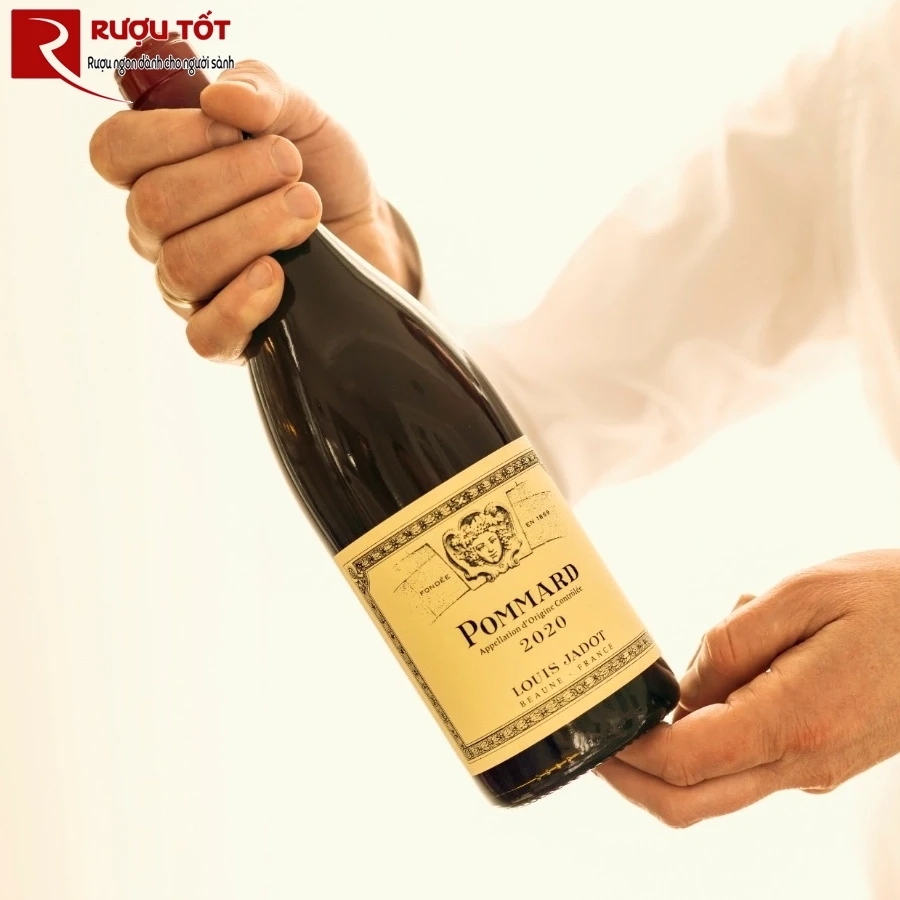 Rượu vang Pommard Louis Jadot
