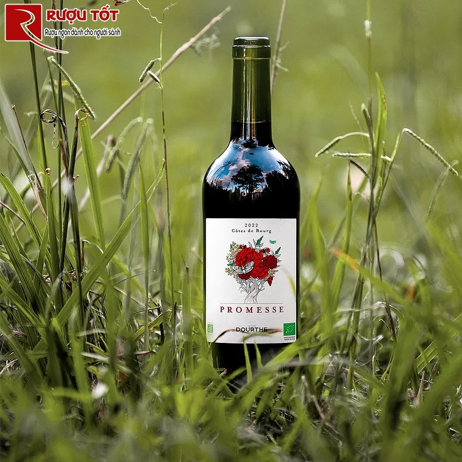 Rượu vang Promesse de Dourthe