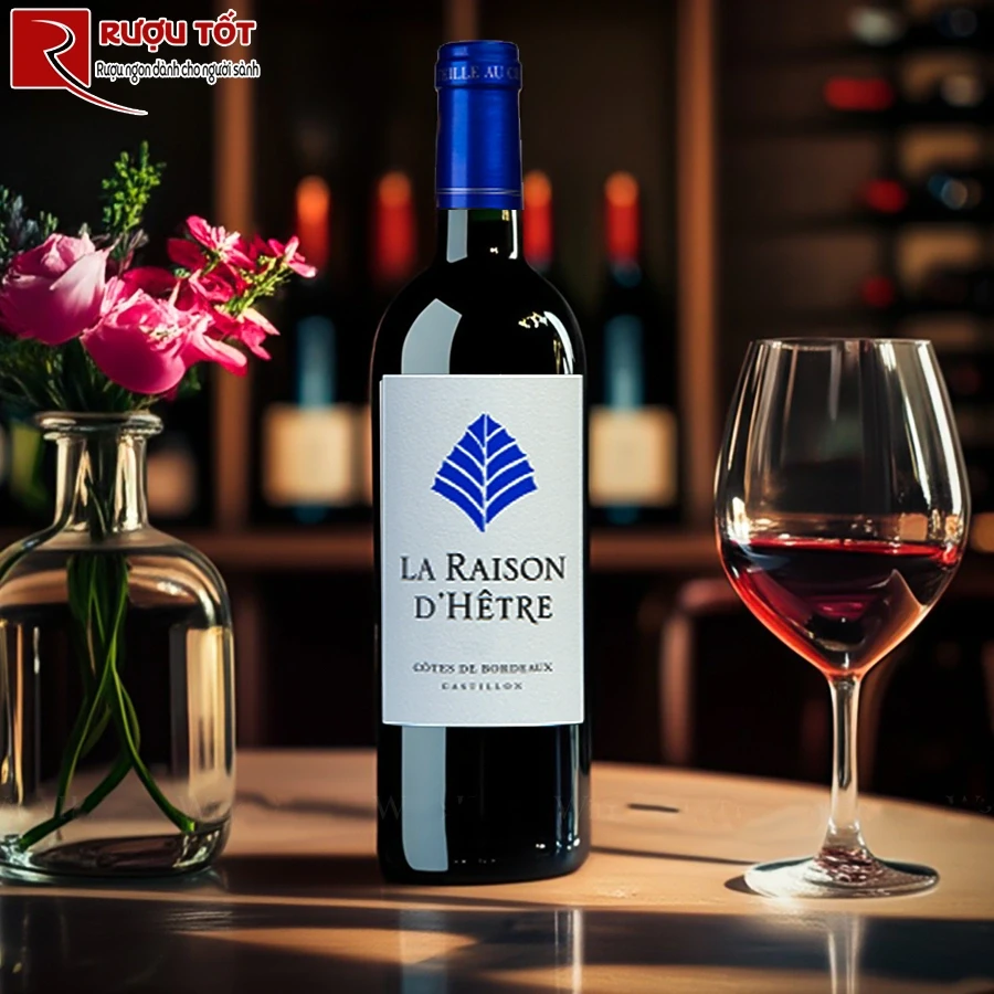 Rượu vang Raison dHetre Castillon Cotes de Bordeaux