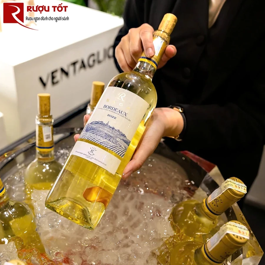 Rượu vang Saga R Bordeaux White