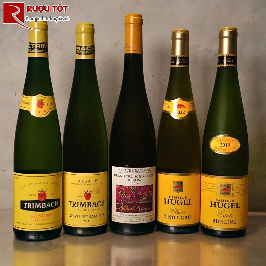 Rượu vang Trimbach Riesling Reserve Alsace
