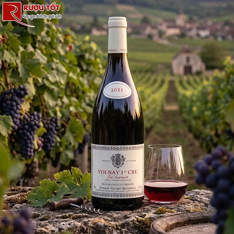 Rượu vang Vincent Bouzereau Volnay 1er Cru Les Santenots