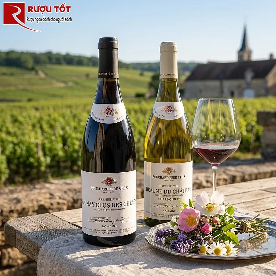 Rượu vang Volnay 1er Cru Clos des Chenes