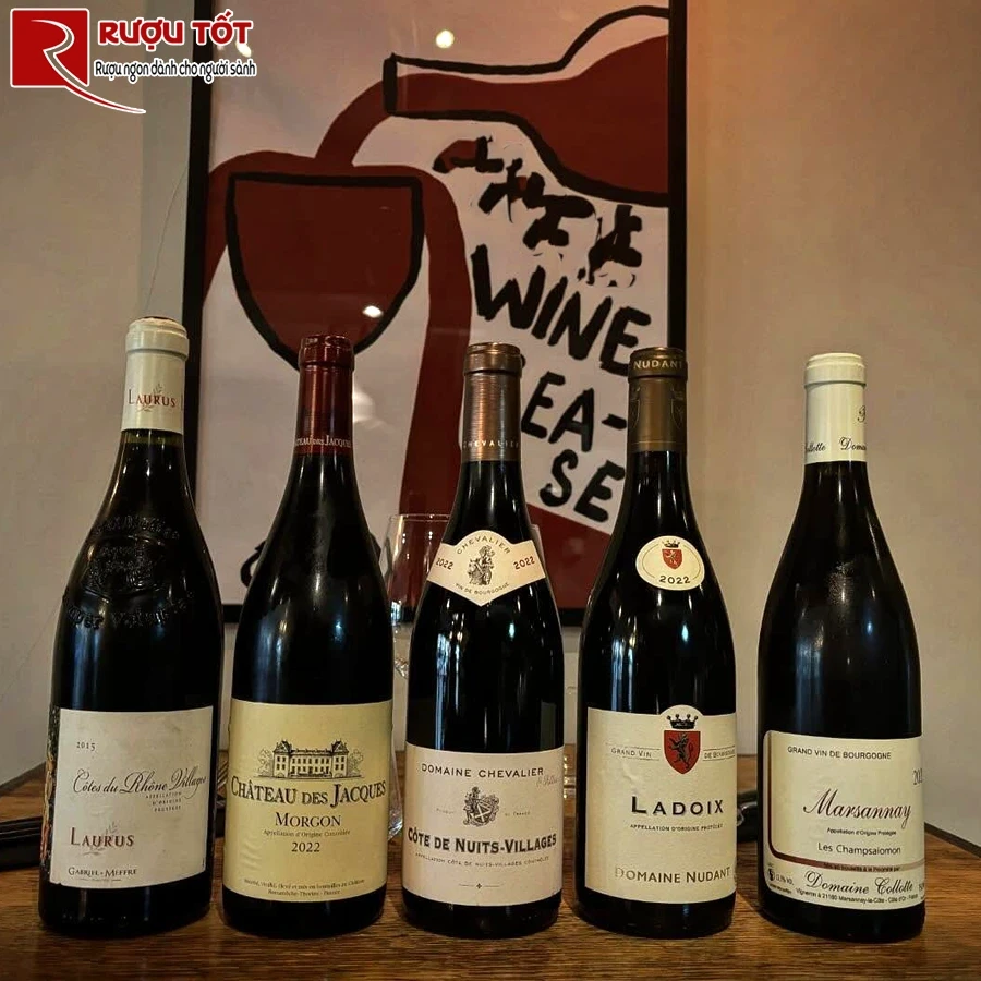 Rượuvang Chateau des Jacques Cote du Py