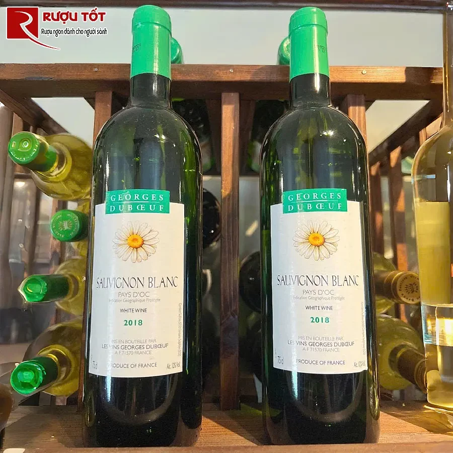 sauvignon blanc georges duboeuf chinh hang