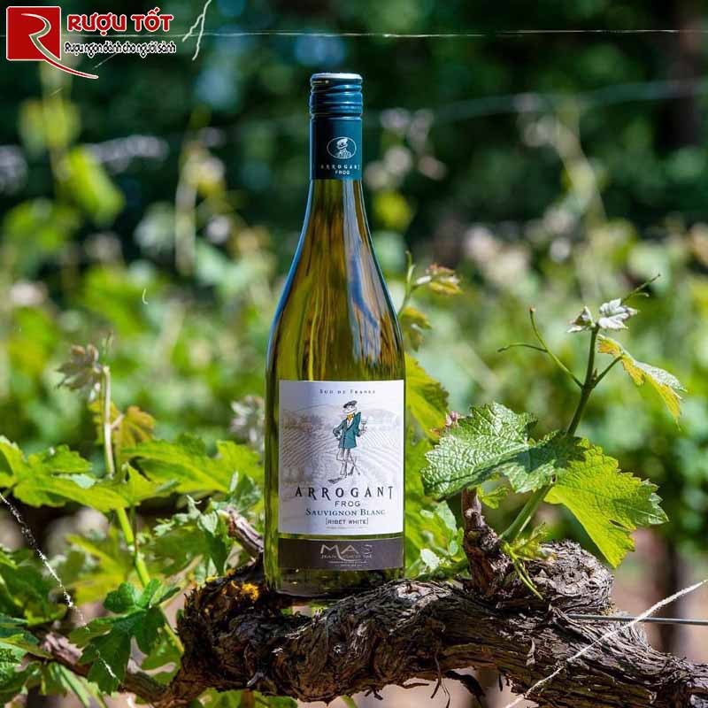 vang Arrogant Frog Ribet