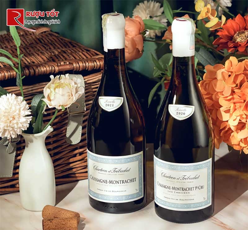 Vang  Chartron et Trebuchet Chassagne