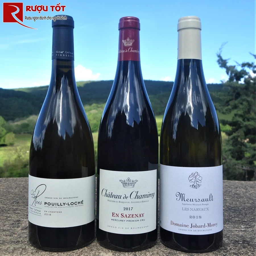 Vang Chateau de Chamirey Mercurey