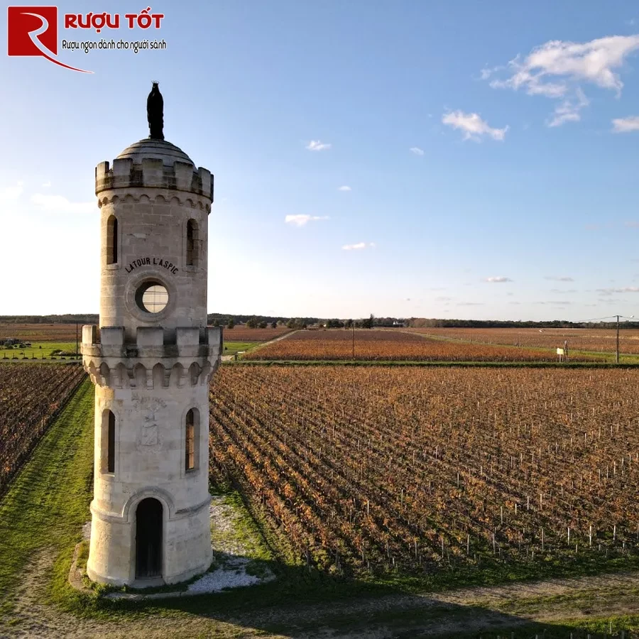 Vang Chateaux Haut Batailley Pauillac