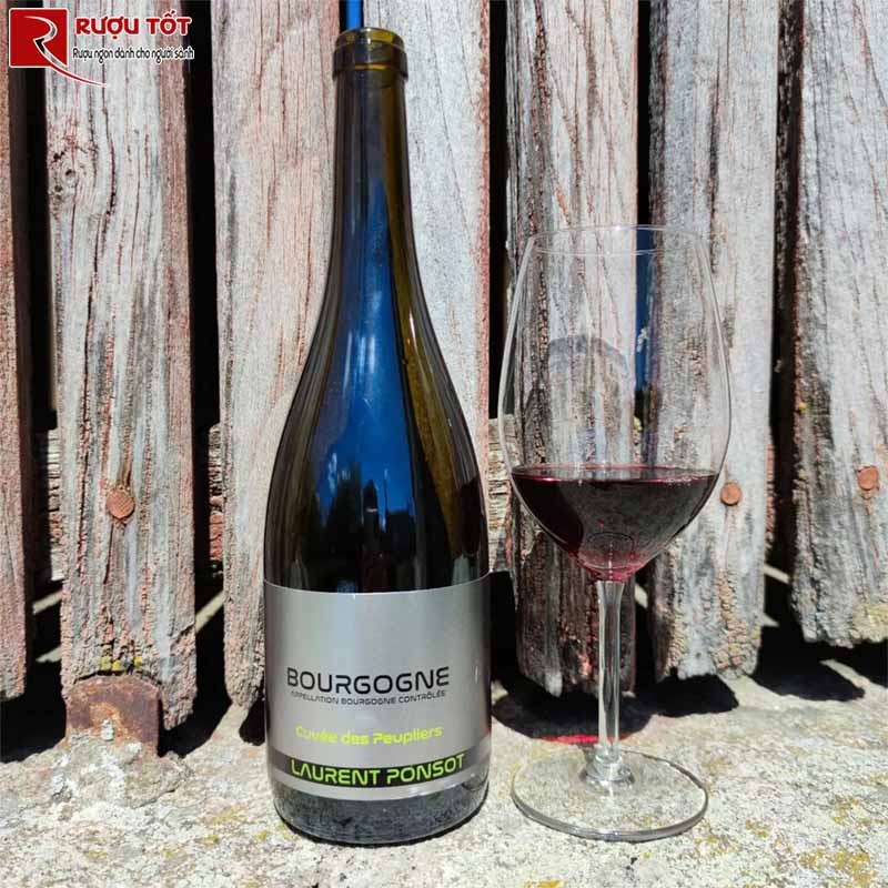 Bourgogne Laurent Ponsot