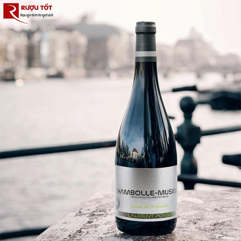 Vang Đỏ Chambolle Musigny Laurent Ponsot Cuvee De La Violette