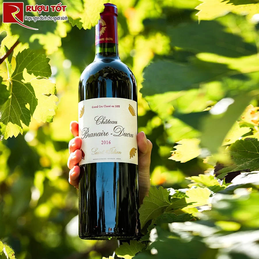 Vang đỏ Chateau Branaire Ducru