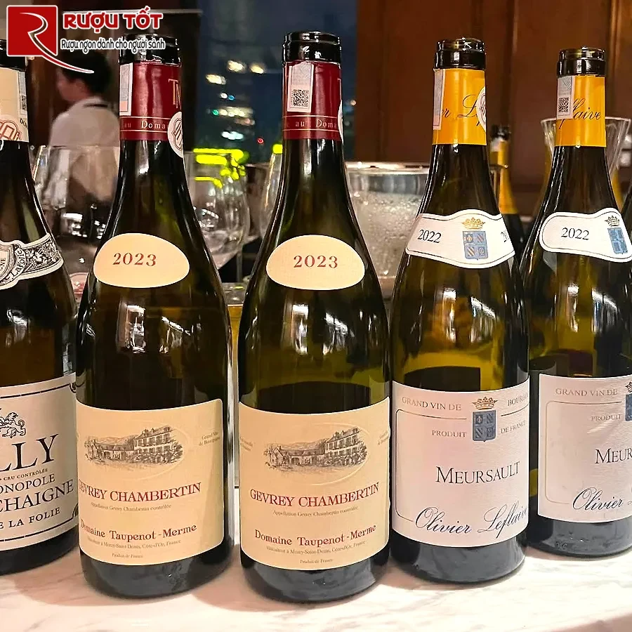 Vang đỏ Domaine Taupenot Merme Gevrey Chambertin
