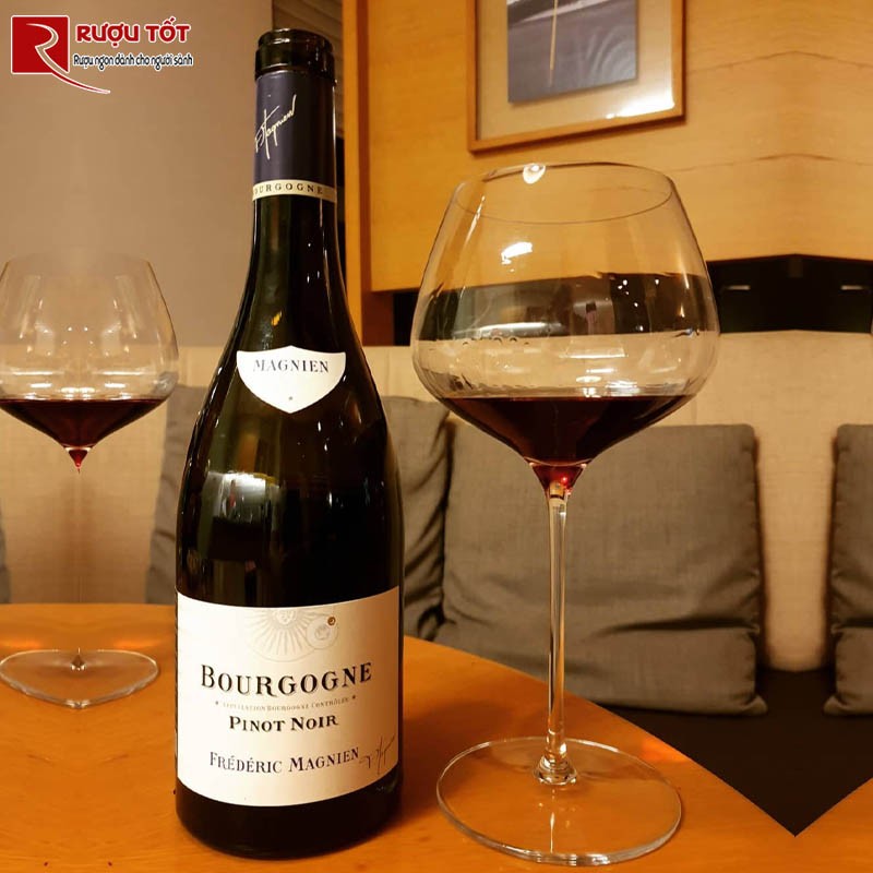 Vang đỏ Frederic Magnien Bourgogne Pinot Noir