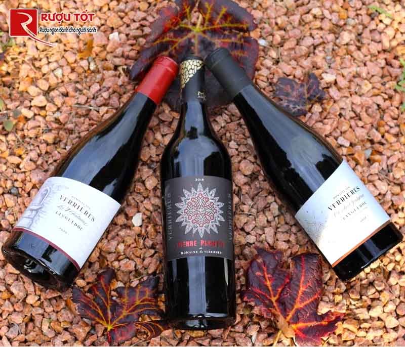 Vang đỏ Pierre Plantee