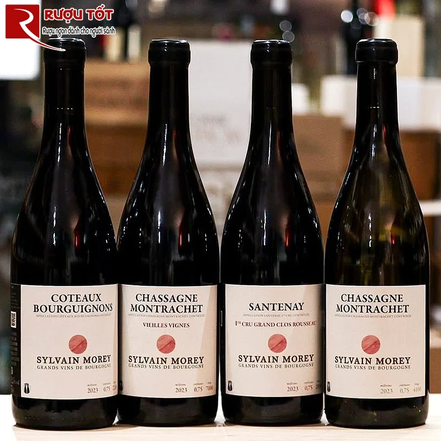 Vang Domaine Sylvain Morey Santenay 1er Cru