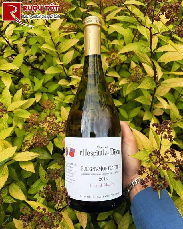 vang L Hospital de Dijon Puligny Montrachet