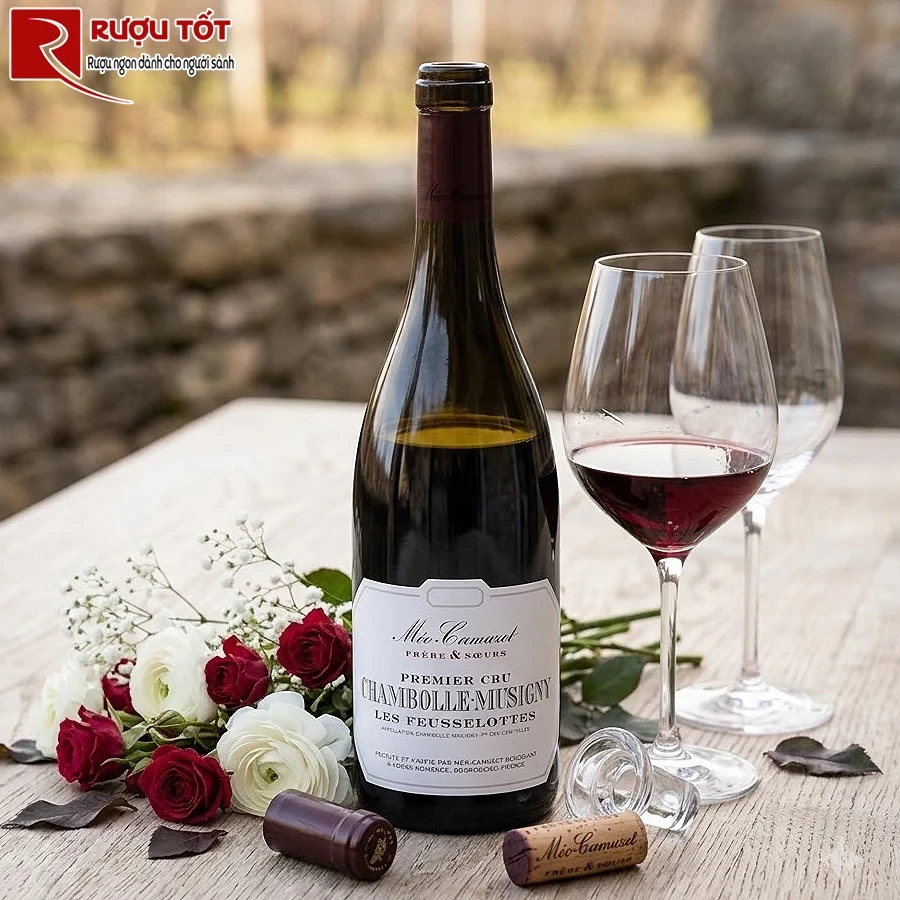 Vang Meo Camuzet Chambolle Musigny
