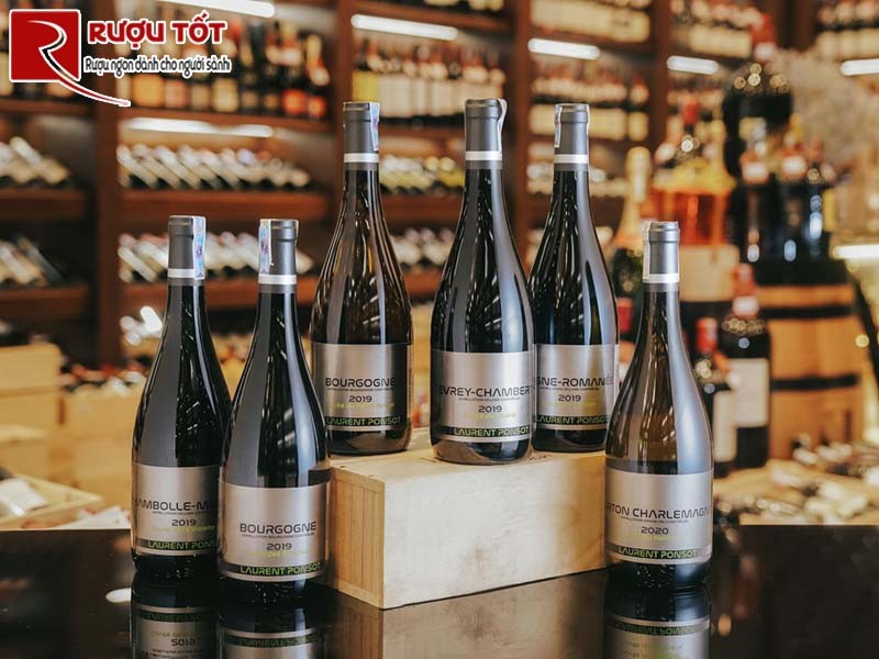 vang pháp Bourgogne Laurent Ponsot