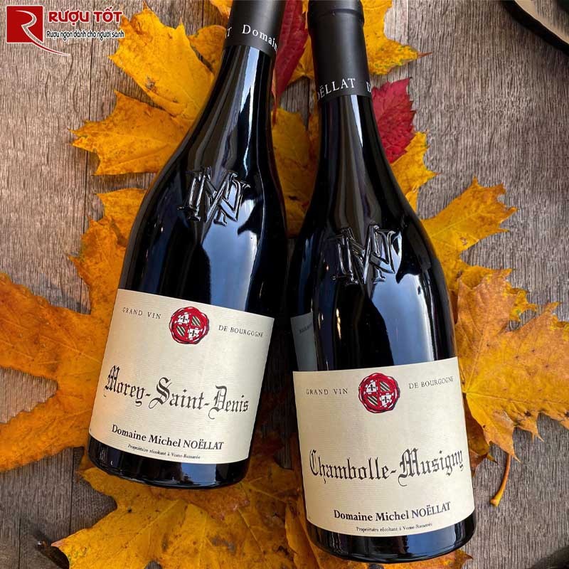 Vang Pháp Chambolle Musigny Domaine Michel Noellat