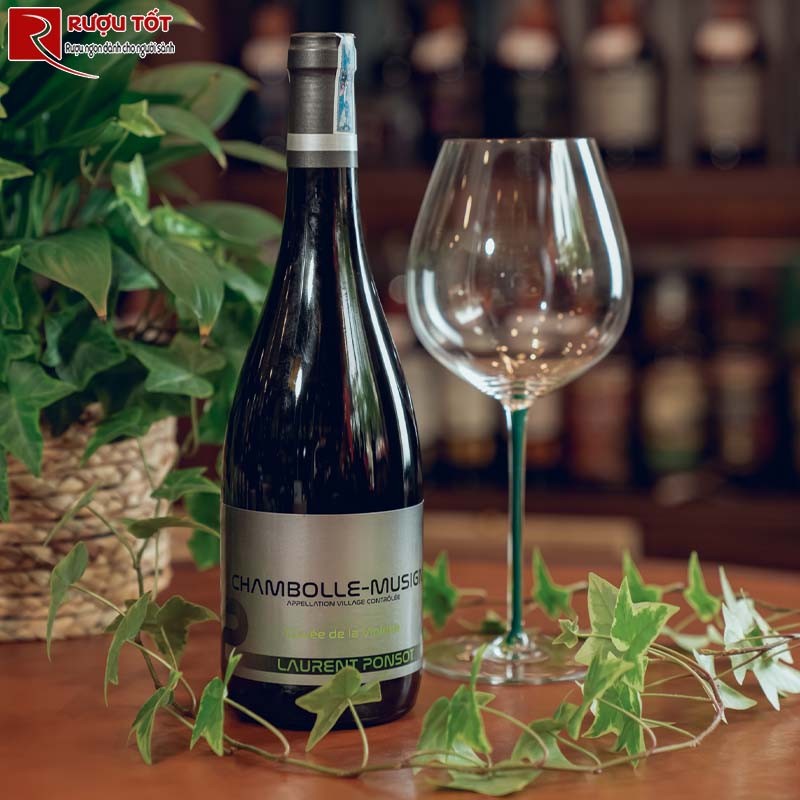 Vang Pháp Chambolle Musigny Laurent Ponsot Cuvee De La Violette