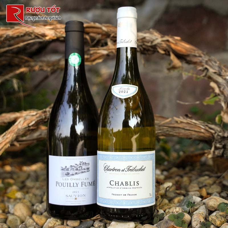 Vang Pháp Chartron et Trebuchet Chablis