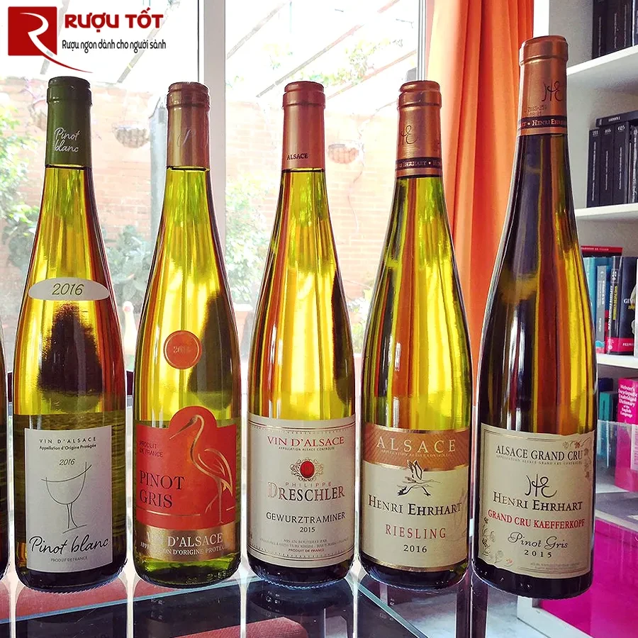 Vang Philippe Dreschler Gewurztraminer