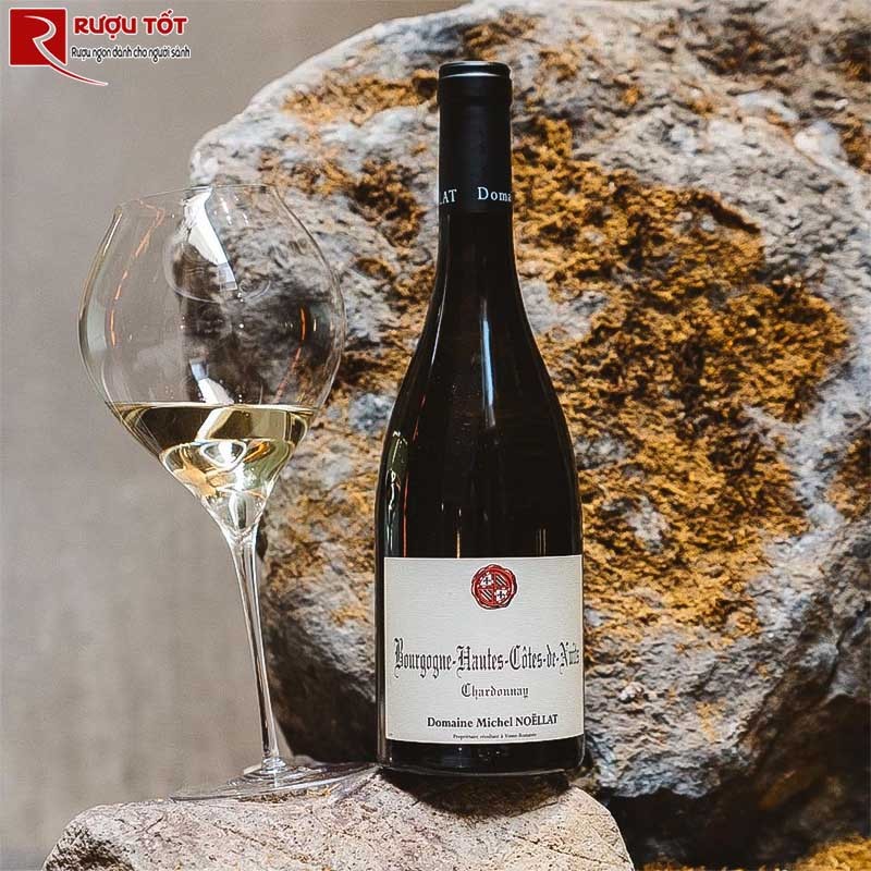 Vang Trắng Bourgogne Hautes Cotes De Nuits Domaine Michel Noellat