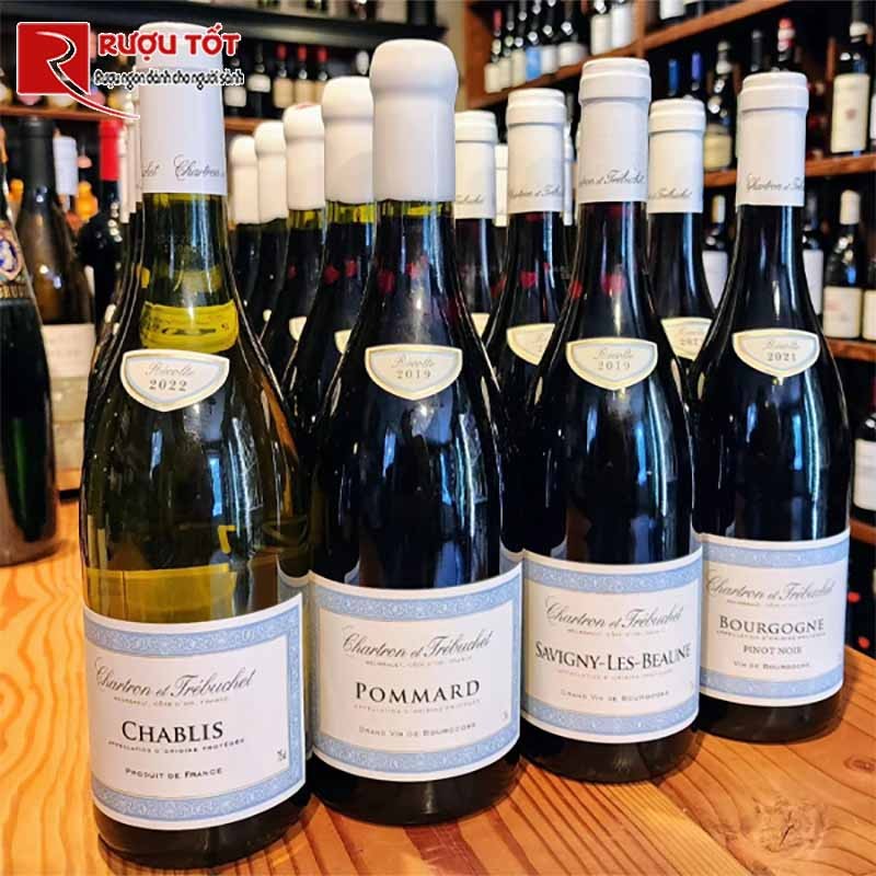 Vang trắng Bourgogne Pinot