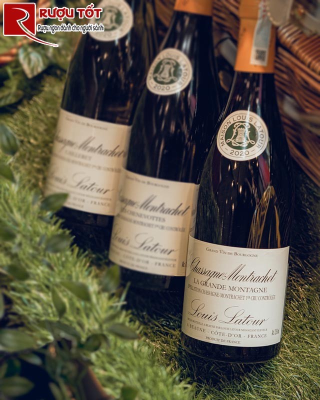 Vang trắng Chassagne Montrachet La Grande Montagne