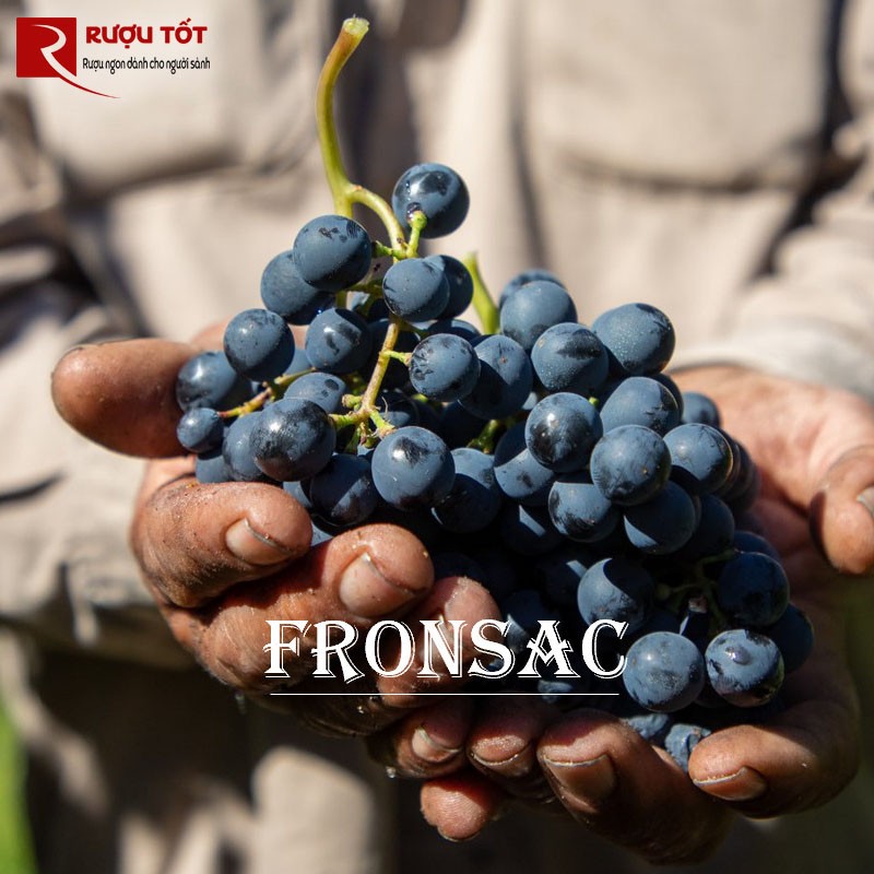 Vùng rượu vang Fronsac
