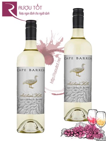 Rượu vang Úc Cape Barren Adelaide Hills Sauvignon Blanc Giá rẻ