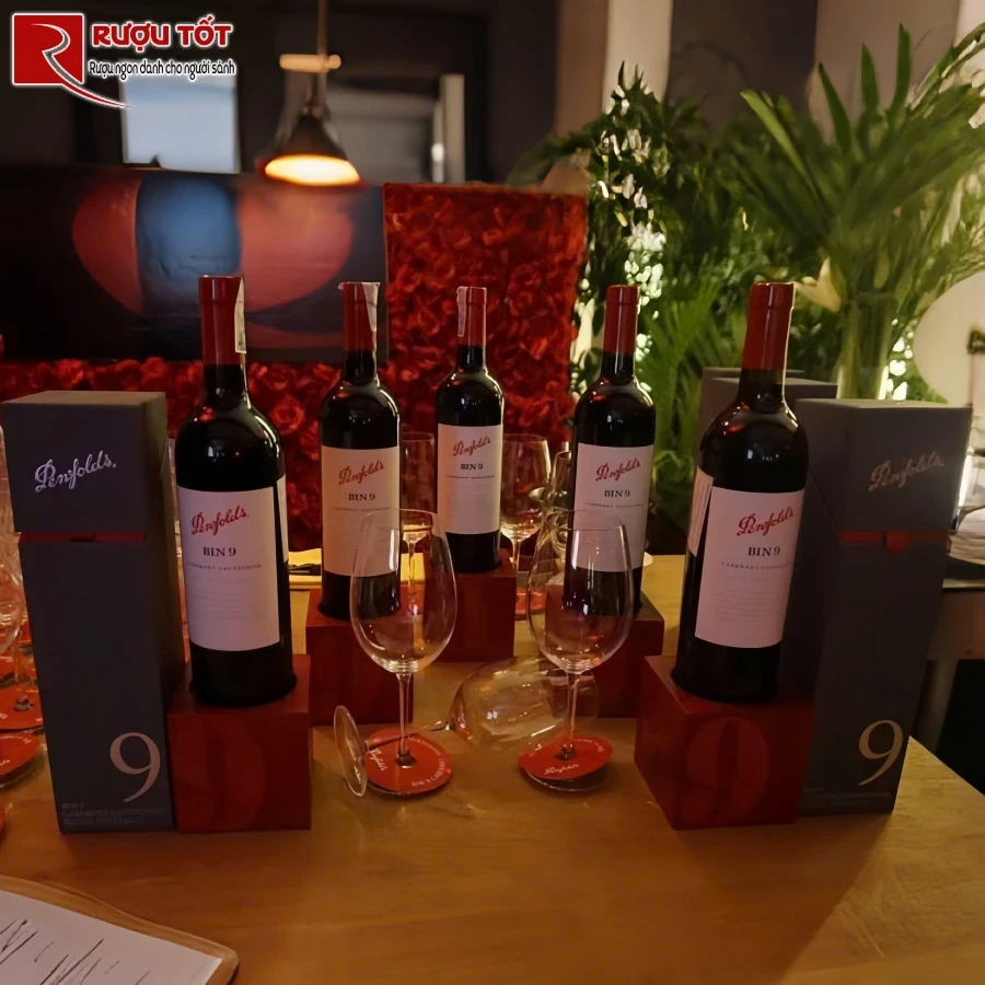penfolds bin 9 cabernet sauvignon gia tot