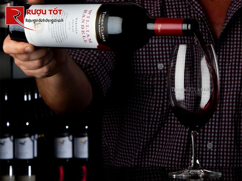 Rượu Thorn Clarke William Randell Shiraz