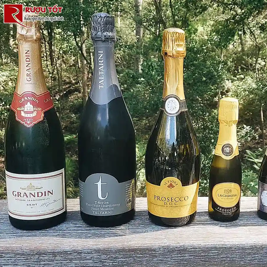 ruou vang t series pinot noir chardonnay