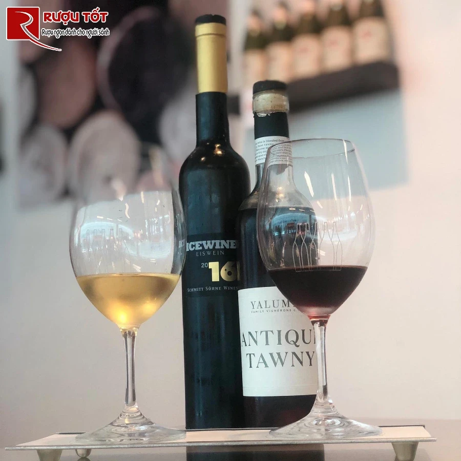 ruou yalumba antique tawny