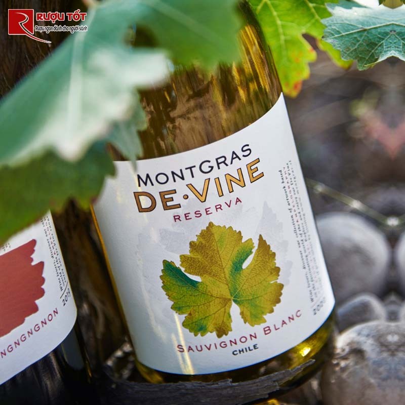 Vang Úc Montgras de Vine Reserva Sauvignon Blanc
