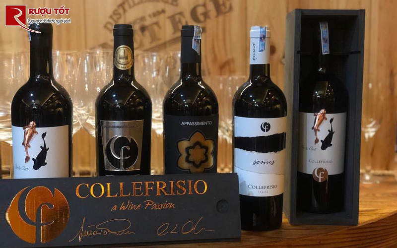 Các dòng sản phẩm rượu vang của Collefrisio