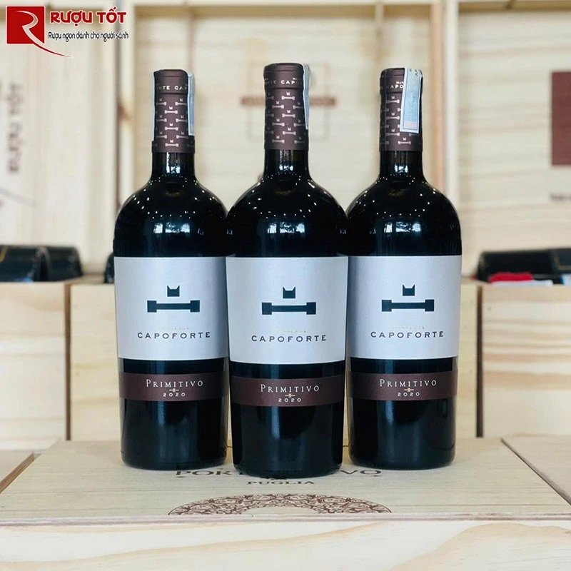 capoforte primitivo puglia
