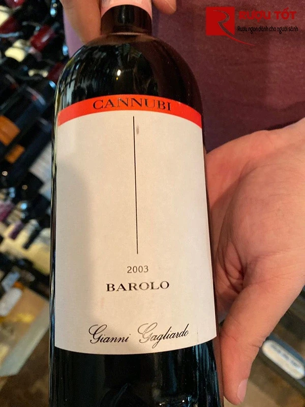 gianni gagliardo barolo riserva cannubi