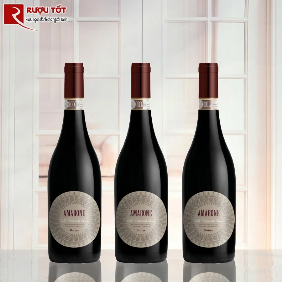 ruou amarone della valpolicella classico botter